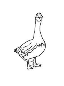 Goose coloring page