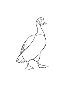 Goose coloring page