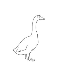 Goose coloring page