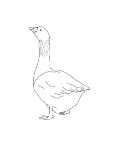 Goose coloring page