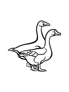 Goose coloring page