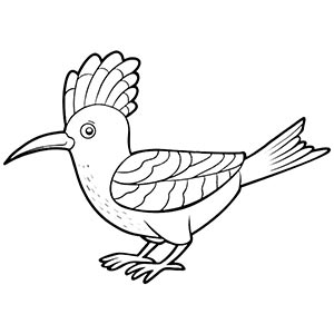 Hoopoe coloring pages