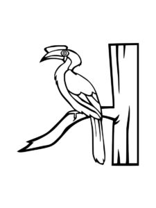 Hornbill coloring page