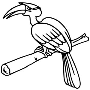 Hornbill coloring pages