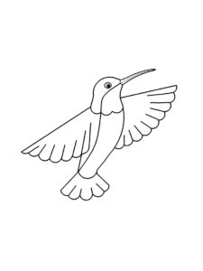 Hummingbird coloring page