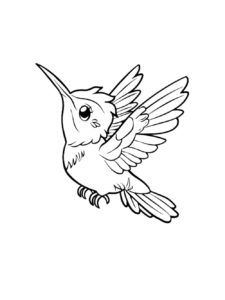 Hummingbird coloring page