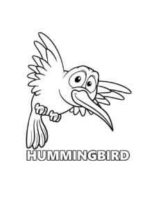 Hummingbird coloring page