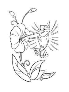 Hummingbird coloring page