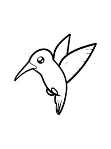 Hummingbird coloring page