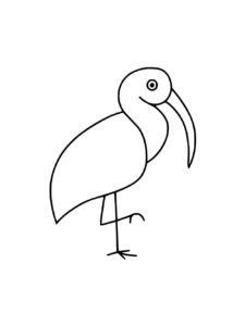 Ibis coloring page