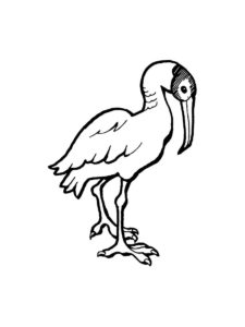 Ibis coloring page