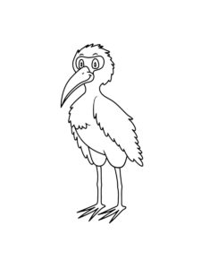 Ibis coloring page