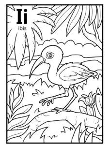 Ibis coloring page