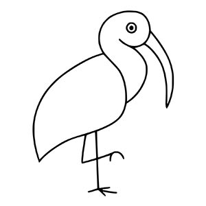 Ibis coloring pages