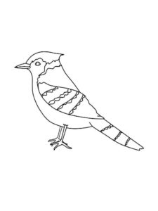 Jay coloring page