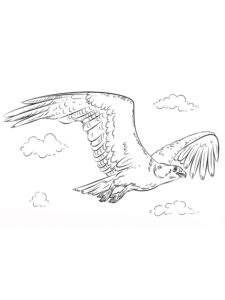 Kite Bird coloring page