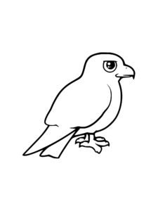 Kite Bird coloring page