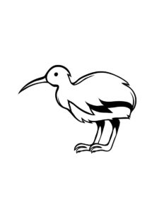 Kiwi Bird coloring page