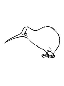 Kiwi Bird coloring page