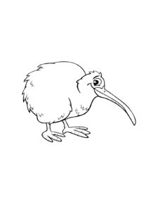 Kiwi Bird coloring page