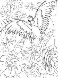 Macaw coloring page