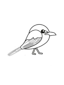 Mockingbird coloring page