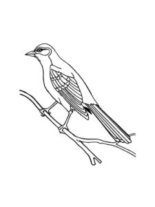 Mockingbird coloring page