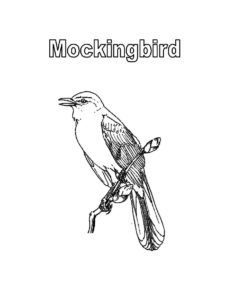 Mockingbird coloring page