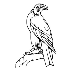 Osprey coloring pages