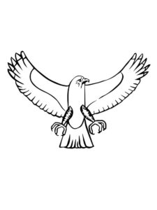 Osprey coloring page