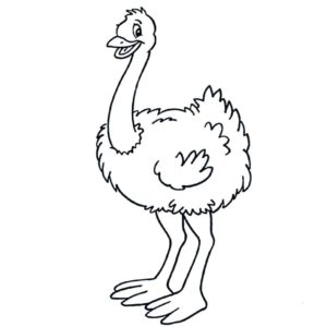 Ostrich coloring pages