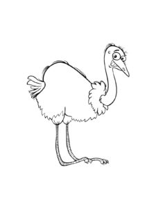 Ostrich coloring page