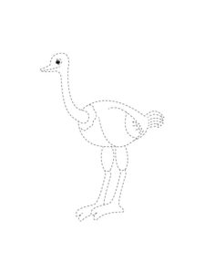 Ostrich coloring page