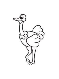 Ostrich coloring page