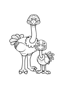 Ostrich coloring page