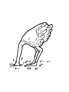 Ostrich coloring page