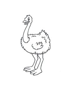 Ostrich coloring page