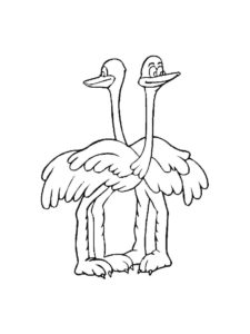 Ostrich coloring page