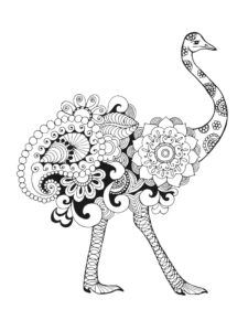 Ostrich coloring page