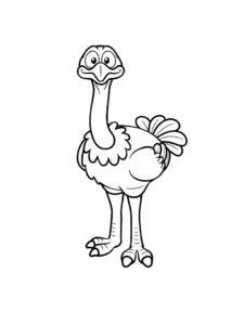 Ostrich coloring page