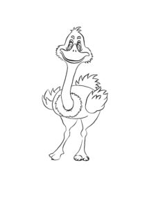 Ostrich coloring page