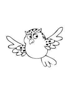 Owl coloring page