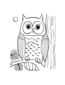 Owl coloring page