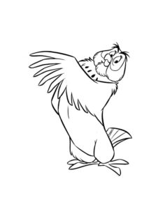 Owl coloring page