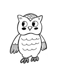 Owl coloring page