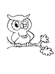 Owl coloring page