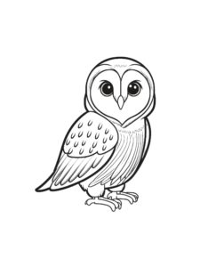 Owl coloring page