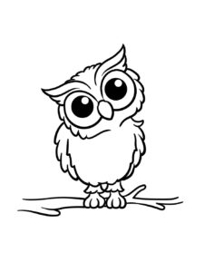 Owl coloring page