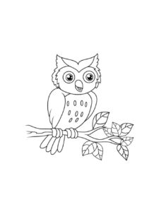 Owl coloring page