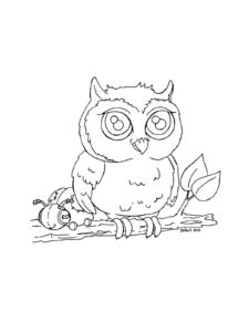 Owl coloring page